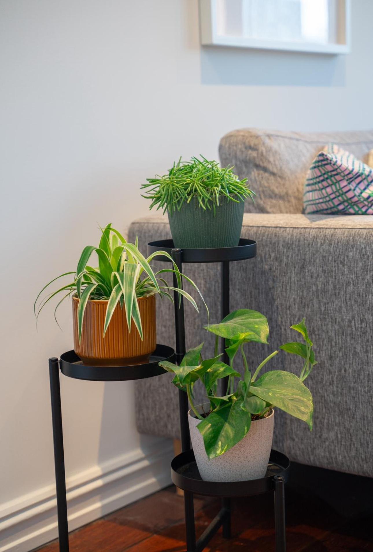 In Gamle Appartement *